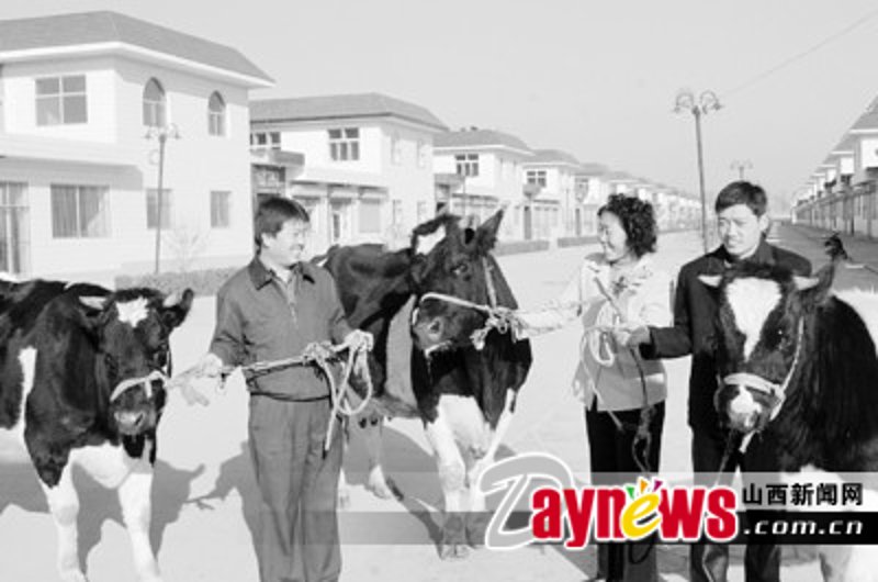 荣昇养殖场：现代农业发展的新标杆
